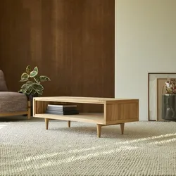 Couchtisch 120 x 50 aus unbehandletem Teak skandinavisches Design natürlich