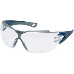 uvex Schutzbrille pheos cx2 9198 blau