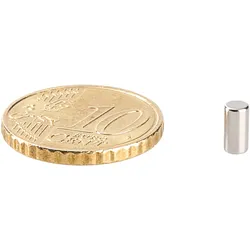 100 Stabmagnete, Neodym, 3 mm x 6 mm, N48, vernickelt, Haftkraft 400 g, silber