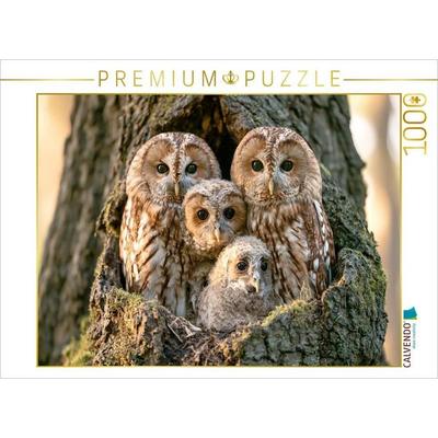 CALVENDO Puzzle Weisheit der Nacht | 1000 Teile Lege-Größe 64 × 48 cm Foto-Puzzle für glückliche Stunden, von , Calvendo Puzzle