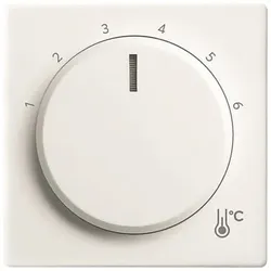 Busch-Jaeger Zentralscheibe Temperatur, rund 1794 R-84