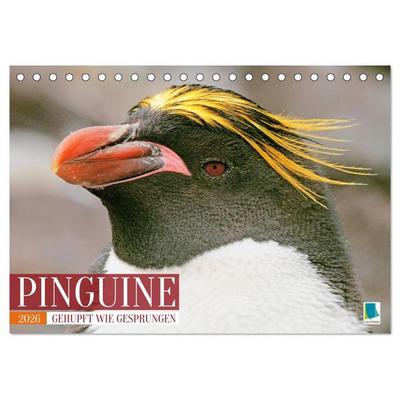 Pinguine: Gehupft wie gesprungen (Tischkalender 2026 DIN A5 quer), CALVENDO Monatskalender