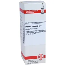 Prunus Spinosa D 6 Dilution 20 ml