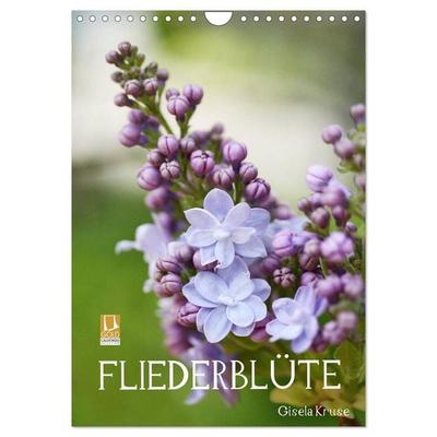 Fliederblüte (Wandkalender 2026 DIN A4 hoch), CALVENDO Monatskalender