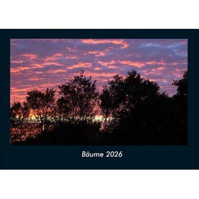 Bäume 2026 Fotokalender DIN A4