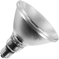 Glühbirne Spot | Große Fassung E27 | PAR38 | 120W 122mm Matt
