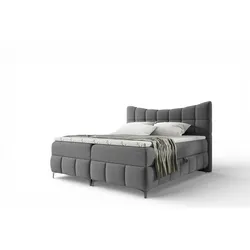 BOXBETT Charles In Freya