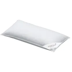 Spessarttraum 3-Kammer-Kopfkissen 40 x 80 cm Baumwolle Weiß