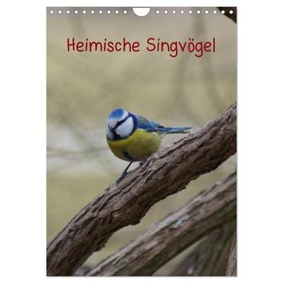Heimische Singvögel (Wandkalender 2027 DIN A4 hoch), CALVENDO Monatskalender