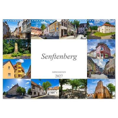 Senftenberg Impressionen (Wandkalender 2027 DIN A3 quer), CALVENDO Monatskalender