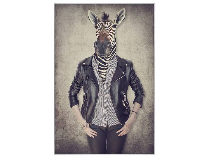 Bild mit Rahmen Zebra Gentleman image LAND