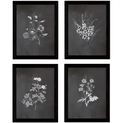 POSTER Set mit 4 Botanischen Stils Sensitive A3 Rahmenlos