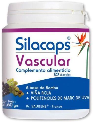 Labo Sante Silice Silacaps Vascular 120 Kapseln