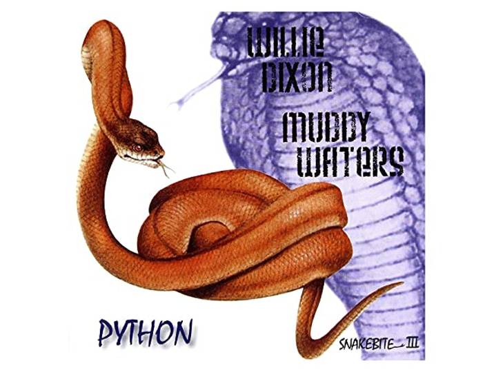 Python - Snake Bite 3