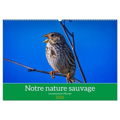 Notre nature sauvage, les passereaux d'Europe (Calendrier mural 2026 DIN A2 vertical), CALVENDO calendrier mensuel