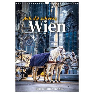 Ach du schönes Wien (Wandkalender 2026 DIN A3 hoch), CALVENDO Monatskalender