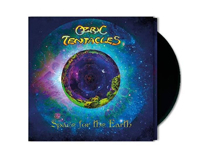 Space for the Earth