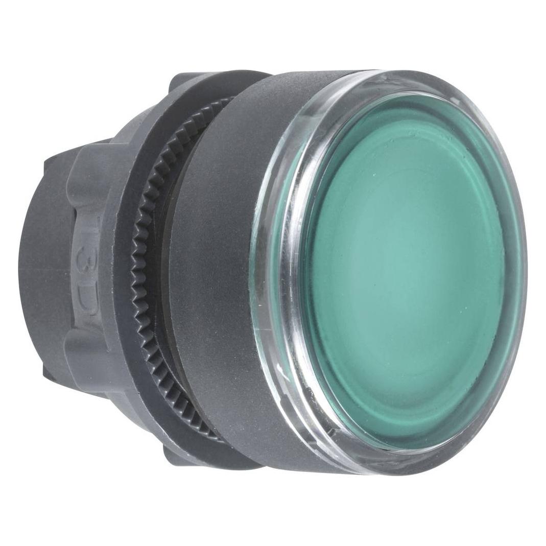 Schneider Electric Double Ill. Pushbutton He (ZB5AH033)