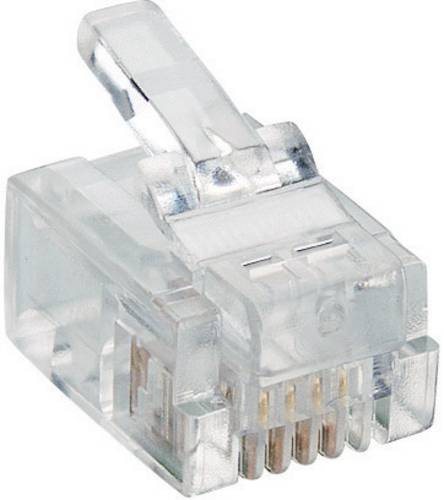 Lumberg P 127 Modularstecker P 127 Stecker, gerade Polzahl Sensoren 6P4C Transparent