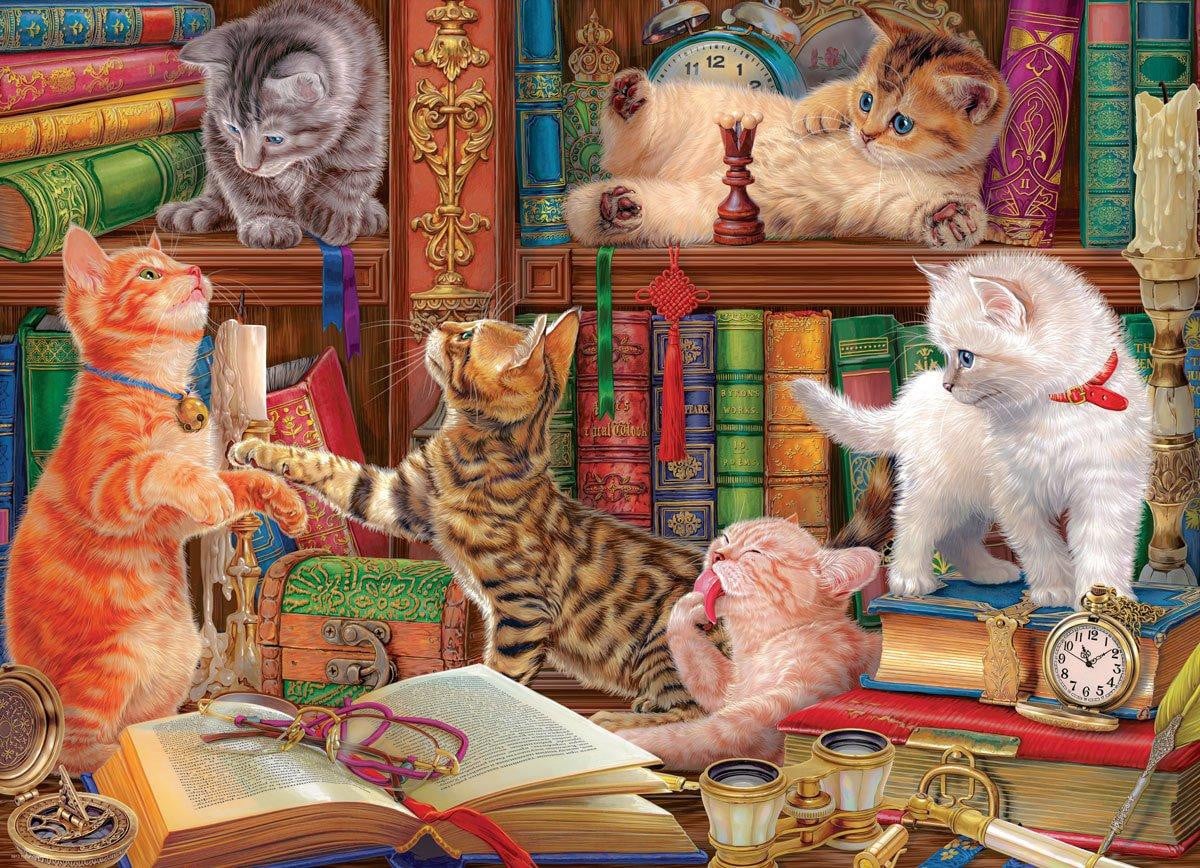 Eurographics Puzzel Boekenplank 1000 stukjes