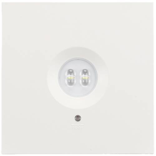 H1 Solutions 1045 Sicherheitsleuchte Deckenaufbaumontage