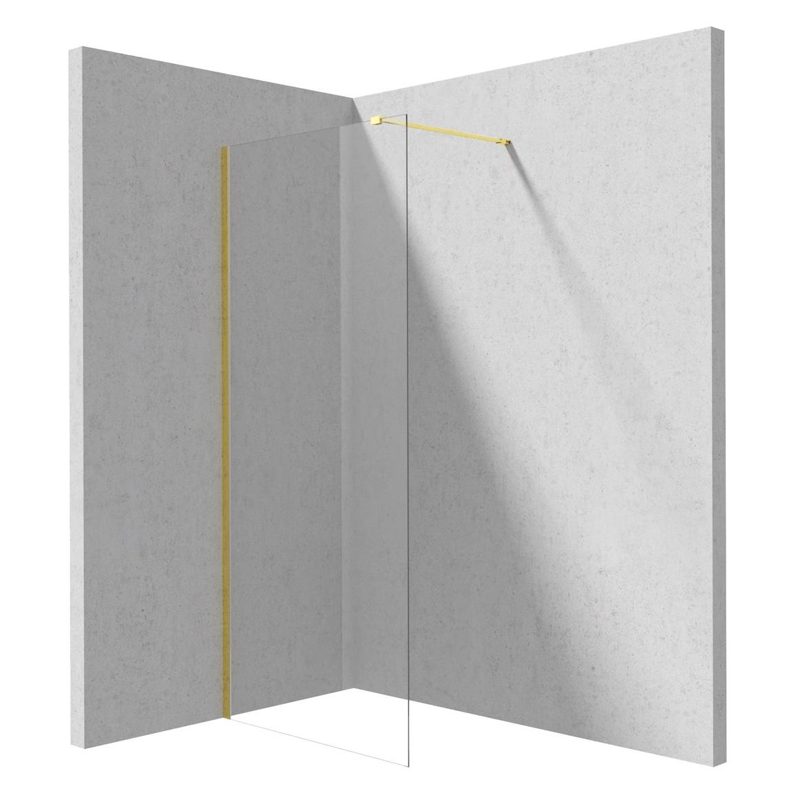 Deante Begehbare Duschwand 70 cm (70 cm) (KTJ_Z37P)