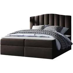 BOXBETT Lindos - H3