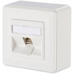 Metz Connect Netzwerkdose Aufputz CAT 6 1 Port Reinweiß 1309110002-E