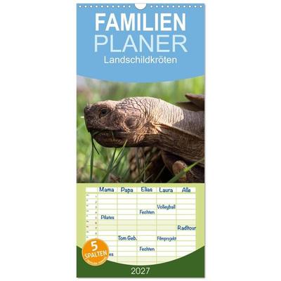 Familienplaner 2027 - Landschildkröten mit 5 Spalten (Wandkalender, 21 x 45 cm) CALVENDO