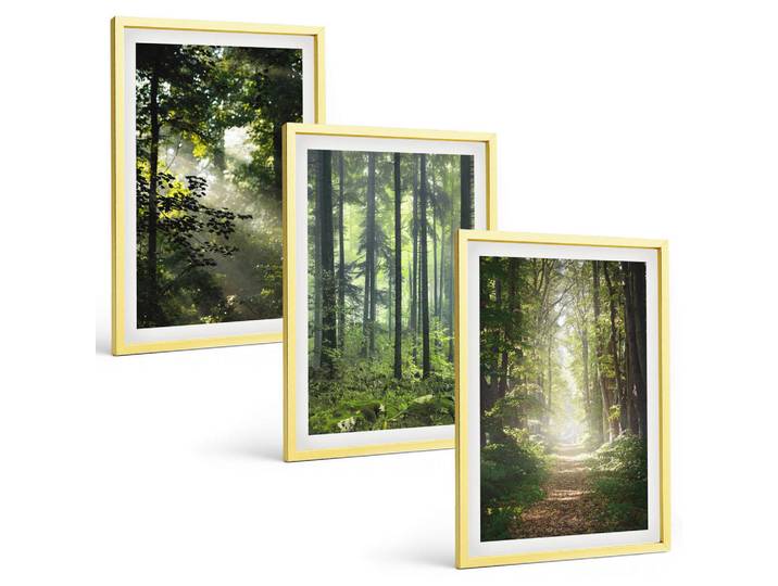 Tulup Bilder SET 3er Set - 40x60 cm Goldrahmen - Grüne Wälder mit Lichtstrahlen, Goldfarben, Kunststoff, Rechteckig, 40x60 cm, gerahmt, Bilder & Rahmen, Bilder