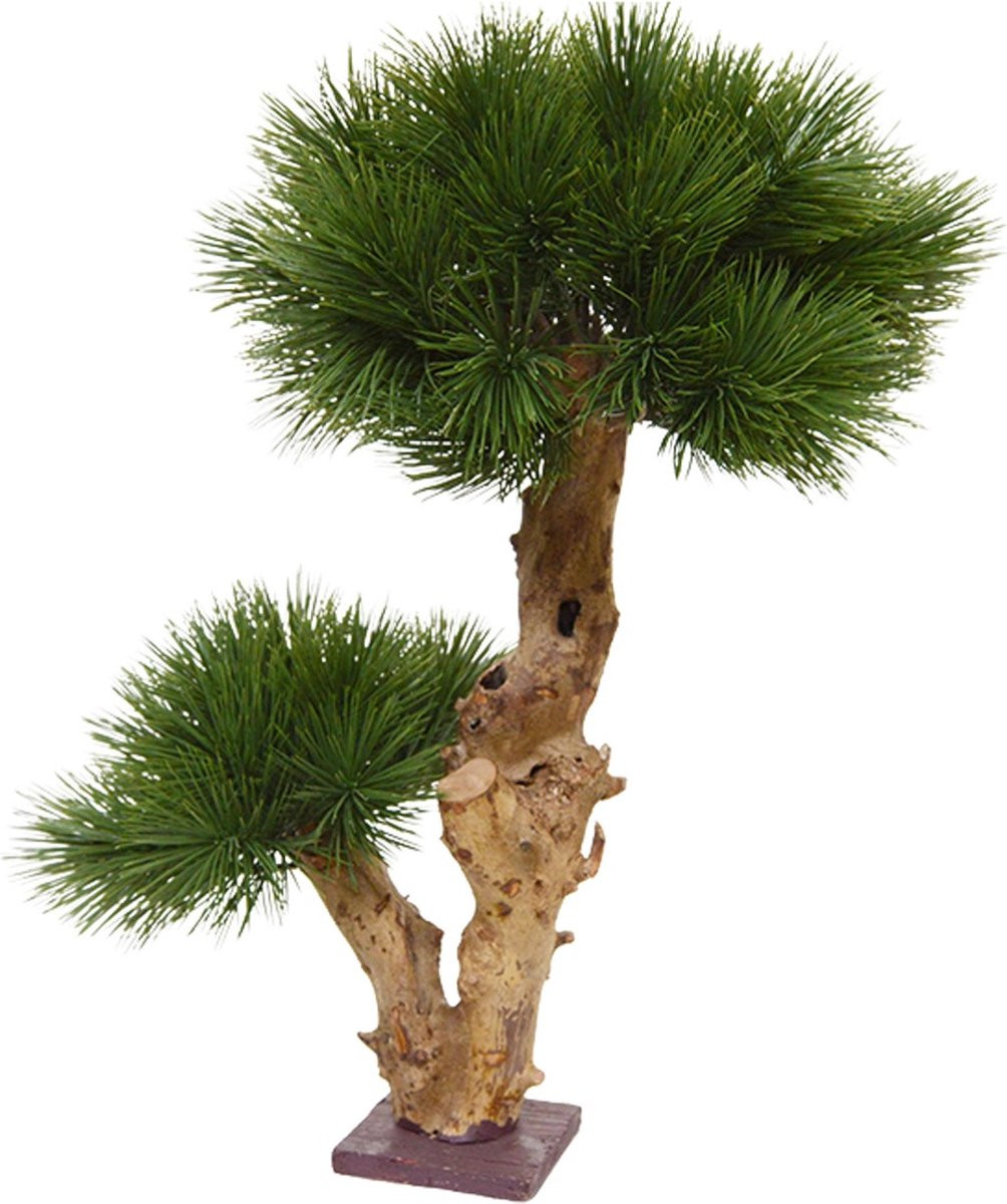 Maxifleur Pinus Bonsai kunstboom op voet, 55 cm, UV-bestendig