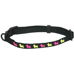 Martin Sellier Verstellbares Nylon-Hundehalsband (Hund, Spazieren), Halsband + Leine