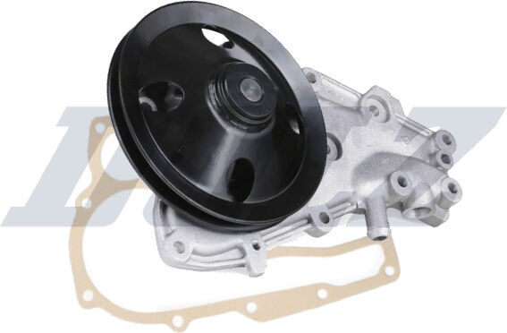 Dolz Wasserpumpe R129 Für Renault
