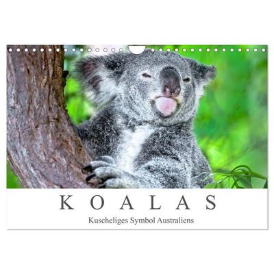 Koalas - Kuscheliges Symbol Australiens (Wandkalender 2026 DIN A4 quer), CALVENDO Monatskalender