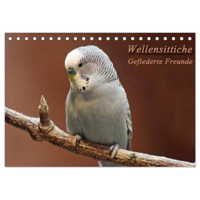 Wellensittiche - Gefiederte Freunde (Tischkalender 2026 DIN A5 quer), CALVENDO Monatskalender