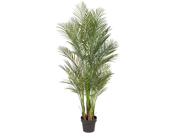 Kunstpalme CREATIV GREEN Arecapalme , grün, H:160cm, Kunststoff, Kunstpflanzen, Kunstpalme