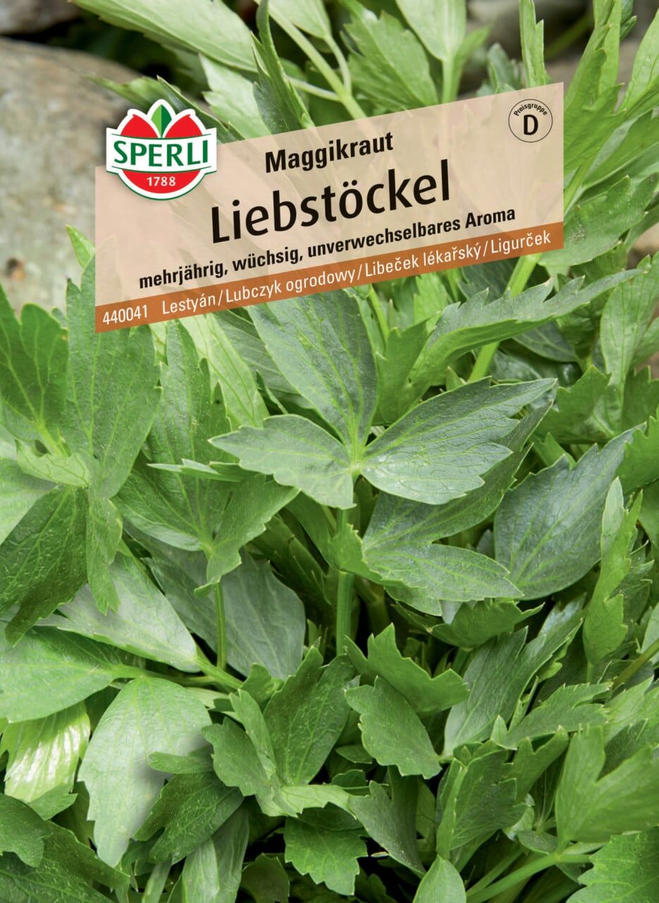 Sperli Liebstöckel Maggikraut