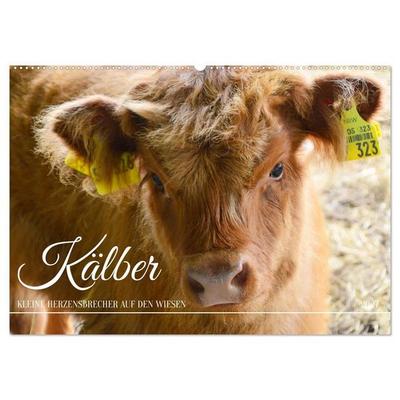 Kälber - Kleine Herzensbrecher auf den Wiesen (Wandkalender 2027 DIN A2 quer), CALVENDO Monatskalender
