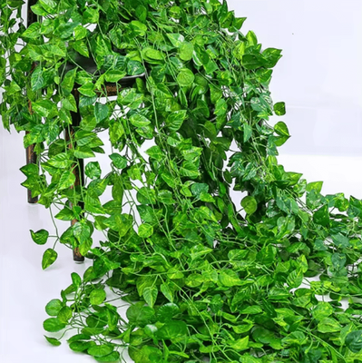 Uplift Curations GreenVibe 100PCS Artificial Ivy Garland 2M Hanging Vines For Wall & Garden Decor sweet Potato 2m (1 String)