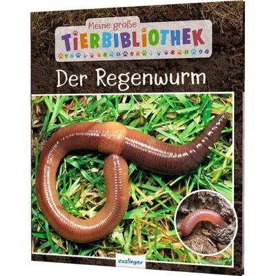 Meine große Tierbibliothek: Der Regenwurm, Gebundene Ausgabe von Valerie Tracqui, Esslinger in der Thienemann-Esslinger Verlag GmbH, 978-3-480-23623-7