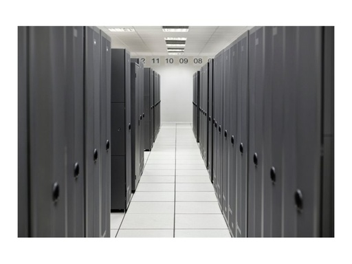 HPE SimpliVity 325 Gen11 - Right-To-Use license (RTU) (S6D42AAE)