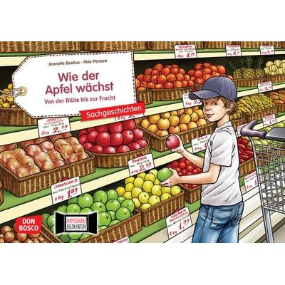Wie der Apfel wächst. Von der Blüte bis zur Frucht. Kamishibai Bildkartenset, Sonstige von Lydia Hauenschild, Don Bosco