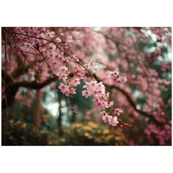 FOTOTAPETE Blumen Bäume Rosa 400x280 cm