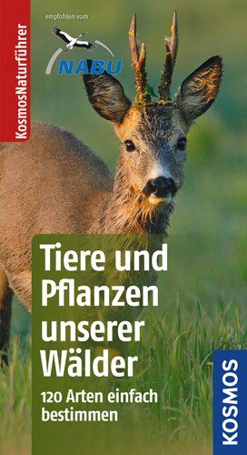 Ute Wilhelmsen - Tiere und Pflanzen unserer Wälder: 120 Arten einfach bestimmen - Preis vom 11.10.2026 15:43:13 h