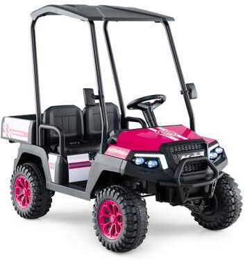 Costway 24V Kids Golf Cart 4WD 2-Seater Ride on Car with Storage Trunk and Horn-Pink