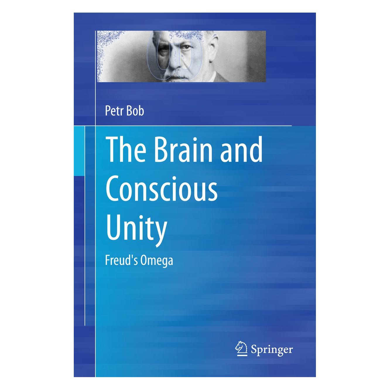 Springer The Brain and Conscious Unity (Englisch, Hardcover, Petr Bob) (9781493926992)