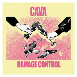 Damage Control, Schallplatten