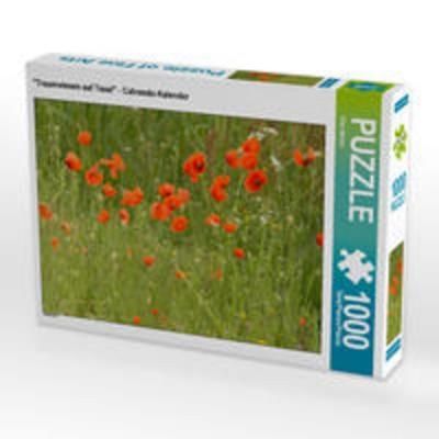 CALVENDO Puzzle 'Traumwiesen auf Texel' - Calvendo-Kalender 1000 Teile Lege-Größe 64 x 48 cm Foto-Puzzle Bild von Eike Winter