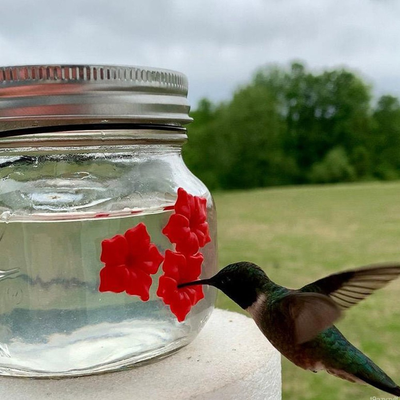 HomeDecorAndMore LLC Hummingbird Feeder Plastic Flower Bird Feeder Hummingbird Feeder Plastic Flower Bird Feeder
