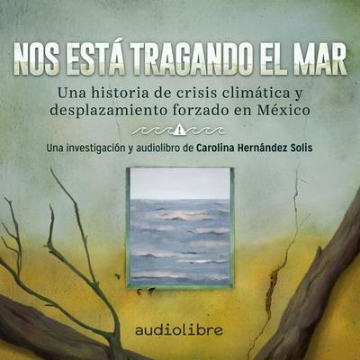 Nos está tragando el mar - Carolina Hernández Solis, Audio, 9781964915159